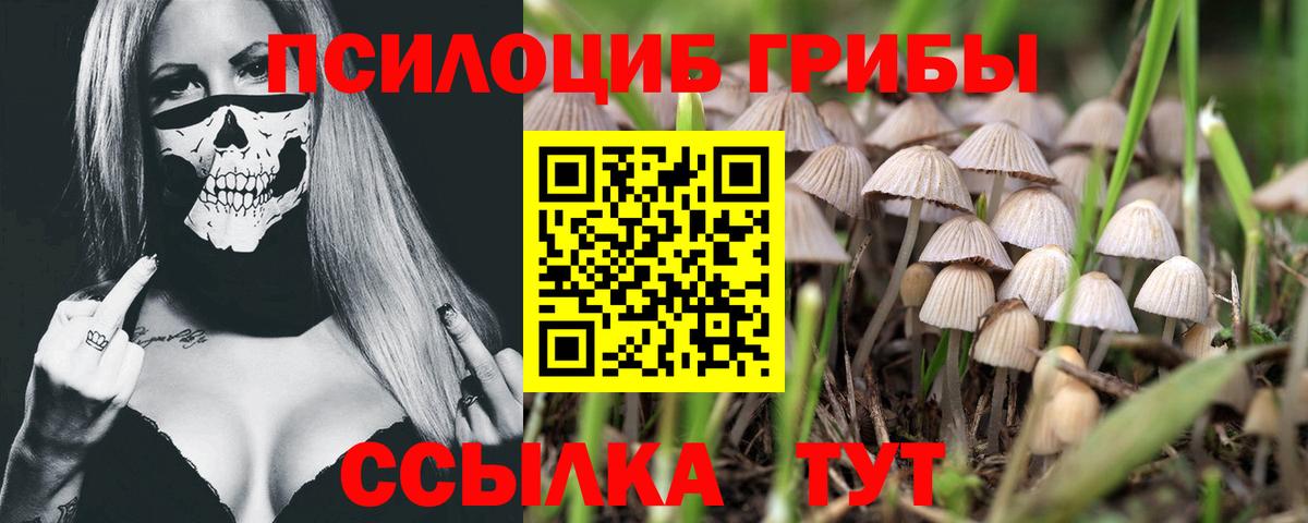 Галлюциногенные грибы мухоморы  Галлюциногенные грибы MAGIC MUSHROOMS  Вход с VPN  Алексин 